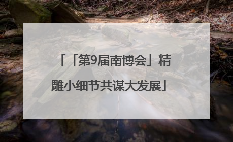 「第9届南博会」精雕小细节共谋大发展
