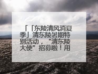 「东陵清风消夏季」清东陵暑期特别活动，“清东陵大使”招募啦！用你的热爱守护世界遗产！