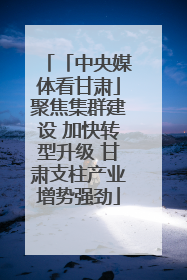 「中央媒体看甘肃」聚焦集群建设 加快转型升级 甘肃支柱产业增势强劲