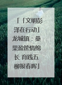 「文明彭泽在行动」龙城镇：桑果盈筐情绵长 育践五柳报春晖