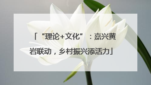 “理论+文化”：嘉兴黄岩联动，乡村振兴添活力