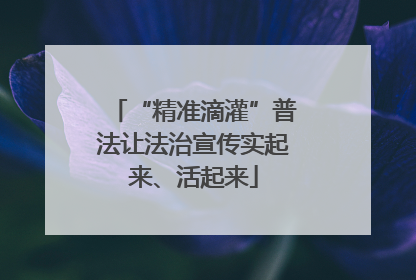 “精准滴灌”普法让法治宣传实起来、活起来