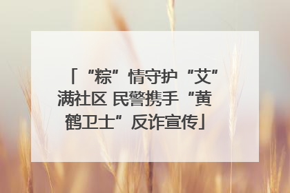 “粽”情守护“艾”满社区 民警携手“黄鹤卫士”反诈宣传