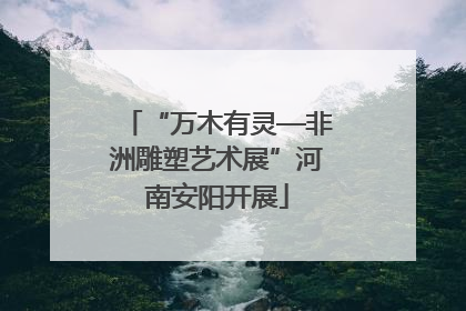 “万木有灵—非洲雕塑艺术展”河南安阳开展