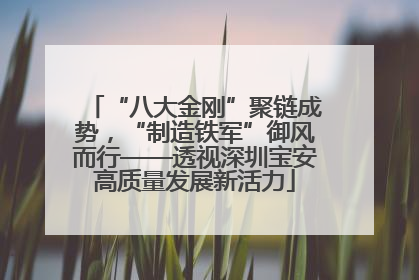 “八大金刚”聚链成势，“制造铁军”御风而行——透视深圳宝安高质量发展新活力