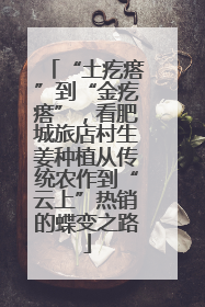 “土疙瘩”到“金疙瘩”，看肥城旅店村生姜种植从传统农作到“云上”热销的蝶变之路