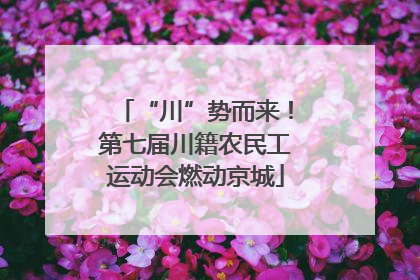 “川”势而来！第七届川籍农民工运动会燃动京城