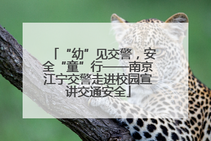 “幼”见交警，安全“童”行——南京江宁交警走进校园宣讲交通安全