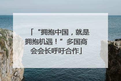 “拥抱中国，就是拥抱机遇！”多国商会会长呼吁合作