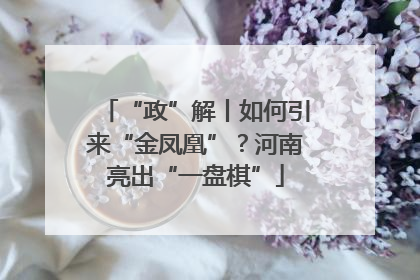 “政”解丨如何引来“金凤凰”？河南亮出“一盘棋”