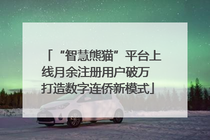 “智慧熊猫”平台上线月余注册用户破万 打造数字连侨新模式