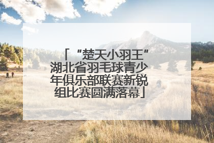 “楚天小羽王”湖北省羽毛球青少年俱乐部联赛新锐组比赛圆满落幕