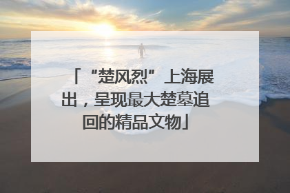 “楚风烈”上海展出，呈现最大楚墓追回的精品文物