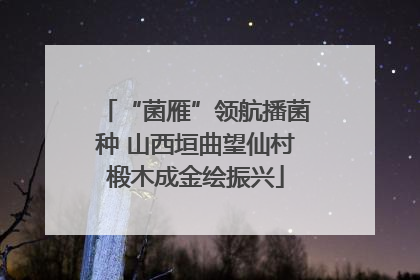 “菌雁”领航播菌种 山西垣曲望仙村椴木成金绘振兴