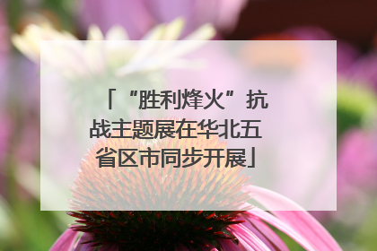 “胜利烽火”抗战主题展在华北五省区市同步开展