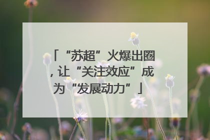 “苏超”火爆出圈，让“关注效应”成为“发展动力”