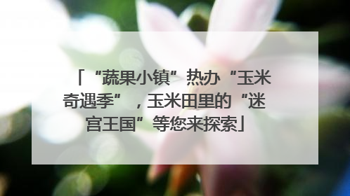 “蔬果小镇”热办“玉米奇遇季”，玉米田里的“迷宫王国”等您来探索