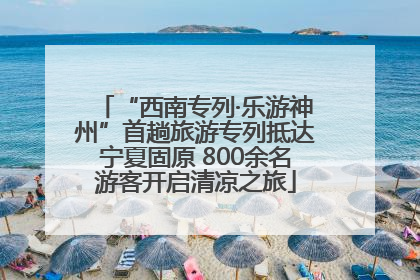 “西南专列·乐游神州”首趟旅游专列抵达宁夏固原 800余名游客开启清凉之旅