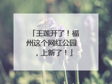 王莲开了！福州这个网红公园，上新了！