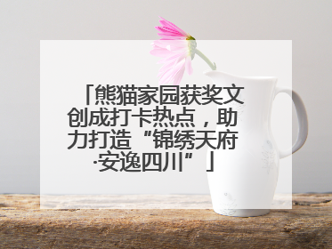 熊猫家园获奖文创成打卡热点，助力打造“锦绣天府·安逸四川”