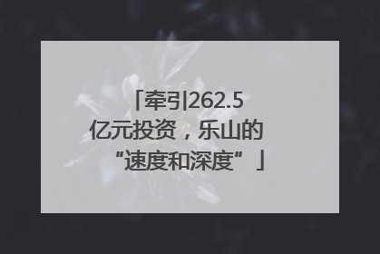 牵引262.5亿元投资，乐山的“速度和深度”
