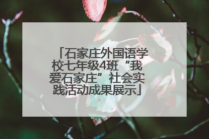 石家庄外国语学校七年级4班“我爱石家庄”社会实践活动成果展示