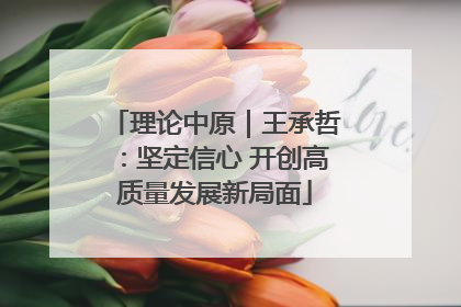 理论中原｜王承哲：坚定信心 开创高质量发展新局面