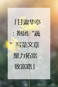 甘肃华亭：抱团“蔬”写菜文章 聚力拓宽致富路