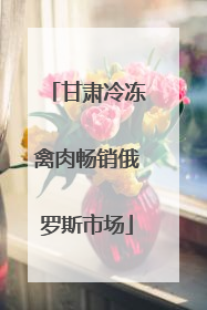 甘肃冷冻禽肉畅销俄罗斯市场