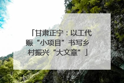 甘肃正宁：以工代赈“小项目”书写乡村振兴“大文章”