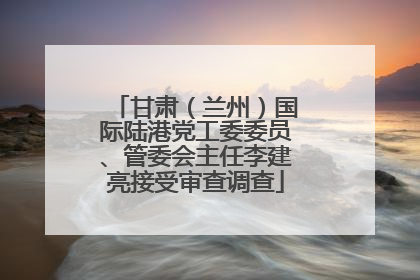 甘肃（兰州）国际陆港党工委委员、管委会主任李建亮接受审查调查