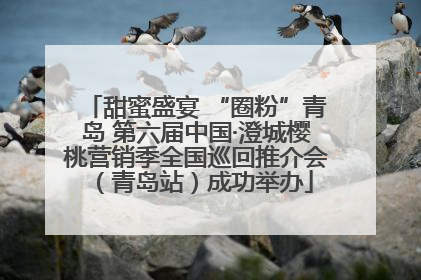 甜蜜盛宴 “圈粉”青岛 第六届中国·澄城樱桃营销季全国巡回推介会（青岛站）成功举办