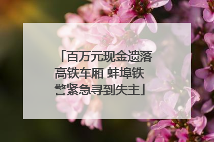 百万元现金遗落高铁车厢 蚌埠铁警紧急寻到失主