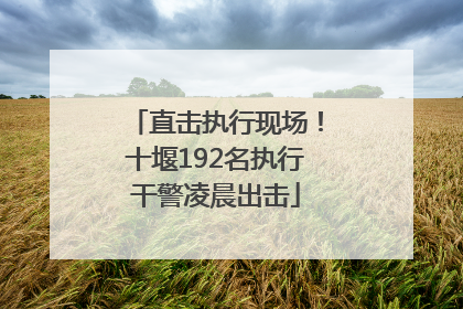 直击执行现场！十堰192名执行干警凌晨出击