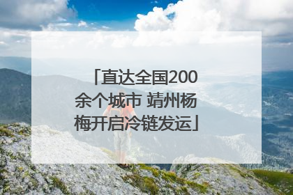 直达全国200余个城市 靖州杨梅开启冷链发运