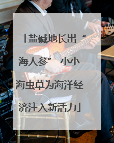 盐碱地长出“海人参” 小小海虫草为海洋经济注入新活力