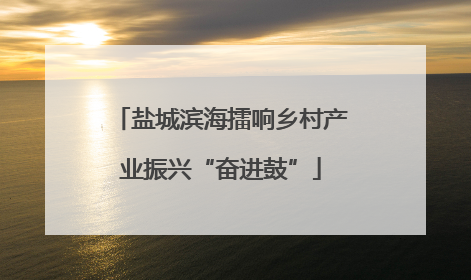 盐城滨海擂响乡村产业振兴“奋进鼓”