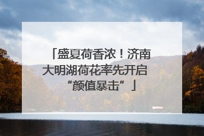 盛夏荷香浓！济南大明湖荷花率先开启“颜值暴击”