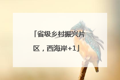 省级乡村振兴片区，西海岸+1