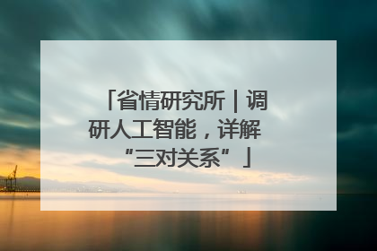 省情研究所｜调研人工智能，详解“三对关系”