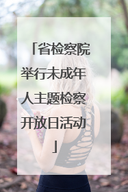 省检察院举行未成年人主题检察开放日活动