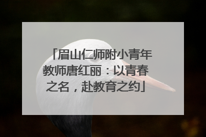 眉山仁师附小青年教师唐红丽：以青春之名，赴教育之约