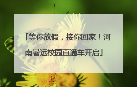 等你放假，接你回家！河南暑运校园直通车开启
