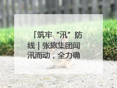 筑牢“汛”防线｜张旅集团闻汛而动，全力确保安全度汛