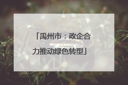 禹州市：政企合力推动绿色转型