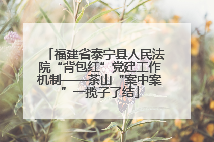 福建省泰宁县人民法院“背包红”党建工作机制——茶山“案中案”一揽子了结