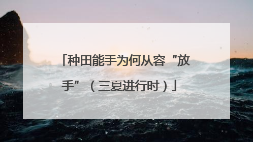 种田能手为何从容“放手”（三夏进行时）