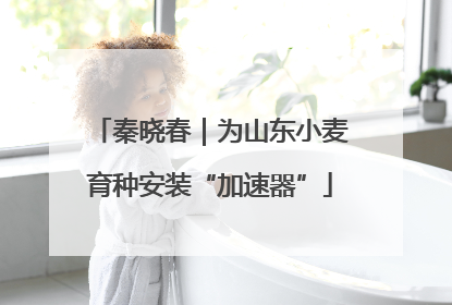 秦晓春｜为山东小麦育种安装“加速器”