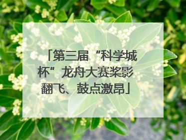 第三届“科学城杯”龙舟大赛桨影翻飞、鼓点激昂