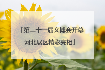 第二十一届文博会开幕 河北展区精彩亮相